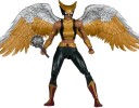 McFarlane Collector Edition #63  DC Multiverse  Hawkgirl (Kendra Saunders) 7" Deluxe Action Figure