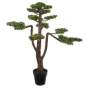Mr Plant Bonsai Tre 125 cm