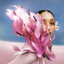 Where The Butterflies Go In The Rain Deluxe Vinyl