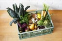 3 Sprouts Klappboks, Stor Grønn