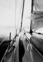 Sailing into Serenity Plakat Plakat / 40x50cm