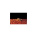 Exoterra Heated Stone S 15.5X10Cm 5W (225.2000)