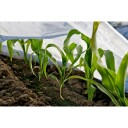 Fiberduk Jabo Agrimpex Hvit Størrelse: 1,6x20 m
