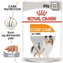 Royal Canin Våtfôr for Voksne Hunder med Hud & Pelspleie 12 x 85 g