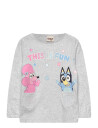 Bluey Tshirt Grey 98