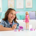 Barbie Barbie Family & Friends Barbie "Malibu" Doll & Accessories Pink ONE SIZE