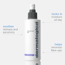 Dermalogica UltraCalming Mist 177ml