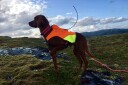 Non-Stop Dogwear Protector Vest til hund med GPS i oransje - S