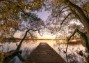 Golden Autumn Pier Plakat / 21x30