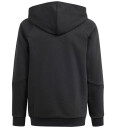 adidas Performance Tiro24 Swhoody Black 128