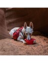 Kurgo Collaps A Bowl Red (81314601136)