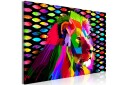 Tavle Rainbow Lion 1 Part Wide 120X80 Artgeist sp. z o. o.