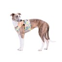 PAIKKA Kjølevest til Hund Sitron Rosa 216635