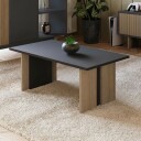 Coffee Table Homitis -