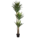Yucca kunstig plante H250 282688