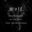 Wolf Brothers Wild Slavic Fragrance Eau de Parfum 50ml Transparent