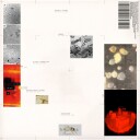 Simon Polygonia Popp Apiformes Vinyl