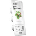 Click and Grow - Smart Garden Refill 3-pack - Wild Strawberry (SGR24X3)