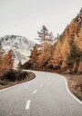 Autumn Mountain Road Plakat Plakat / 100x150cm