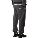 The North Face Expedition Celebration Joggebukser Unisex Grå S