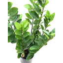 Kunstig Zamifolia, 70 cm