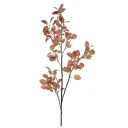 Mr Plant Alm Kvist 230 cm