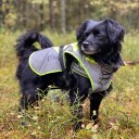 Xtreme Refleks Dekken Med Fleece Til Hund