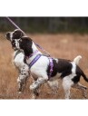 Non-stop Dogwear Line Sele 5.0 Rachel Pohl Lilla/Rosa Hundesele