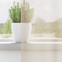  Voilegardiner med fanetopp 2 stk krem 8721158552822