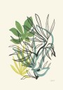 Flowing Botanical Greens Plakat / 30x40