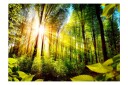 Fototapet Forest Hideout 100x70 - Artgeist sp. z o. o.