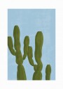 Towering Desert Cacti Plakat / 50x70