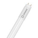 Ledvance LED-rør T8 Perf UN 1200mm 2100lm 14W/865 230V+EM+HF