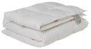 Norvigroup Dobbeldyne 200x220 cm - Moskusdun dyne Vinterdyne Quilts of Denmark Samsødyne