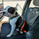 Bilsele Til Hund Og Katt Justerbar 72Cm