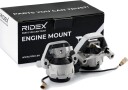 RIDEX 247E0584 Motorfeste