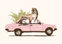 Tiger On Car Plakat / 70x100cm