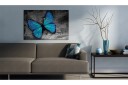 Bilde The study of butterfly 120x80   Artgeist sp. z o. o.
