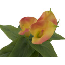 Europalms Mini Calla, Yellow Orange 43cm