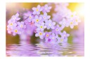 Fototapet Violet Petals In Bloom 150x105 - Artgeist sp. z o. o.