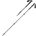 Black Diamond Trail Trekking Poles Pine Smoke, One Size