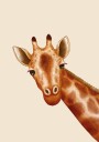 Peekaboo Giraffe Plakat Plakat / 100x150cm