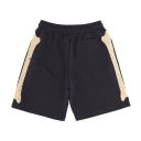 Phobia Archive Herre Shorts Flerfarget M,
