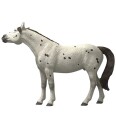 Schleich Knabstrupper Vallak Figur 10,6 cm Horse Club Lekedyr