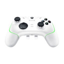 Razer Wolverine V2 Chroma