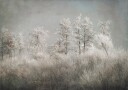 Cold morning Poster Plakat / 30x40cm