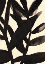 Branches in Black and Beige II Plakat Plakat / 50x70cm