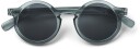 LIEWOOD Darla Solbriller Whale Blue Transparent