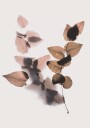 Brown Leafe Plakat Plakat / 100x150cm