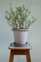 Bergs Potter Emilia Krukke Grå Ø16 cm